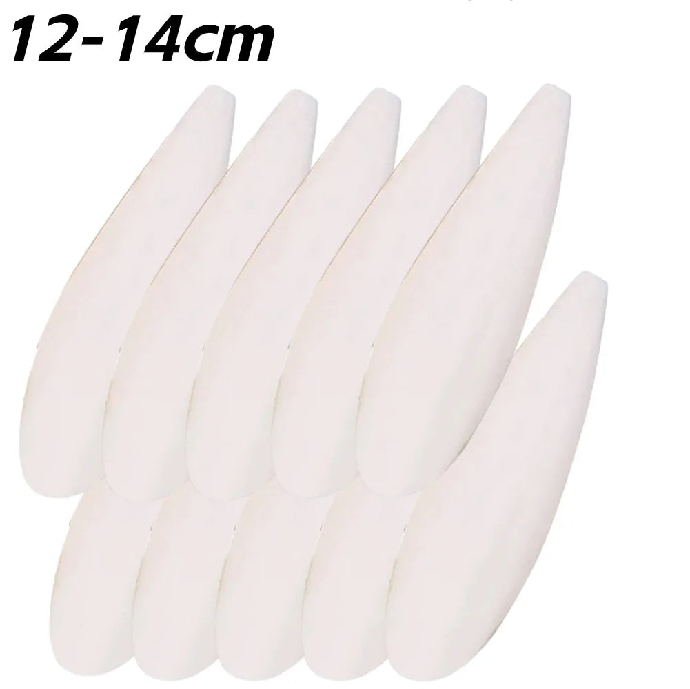 Cuttlefish Bone Calcium Supplement