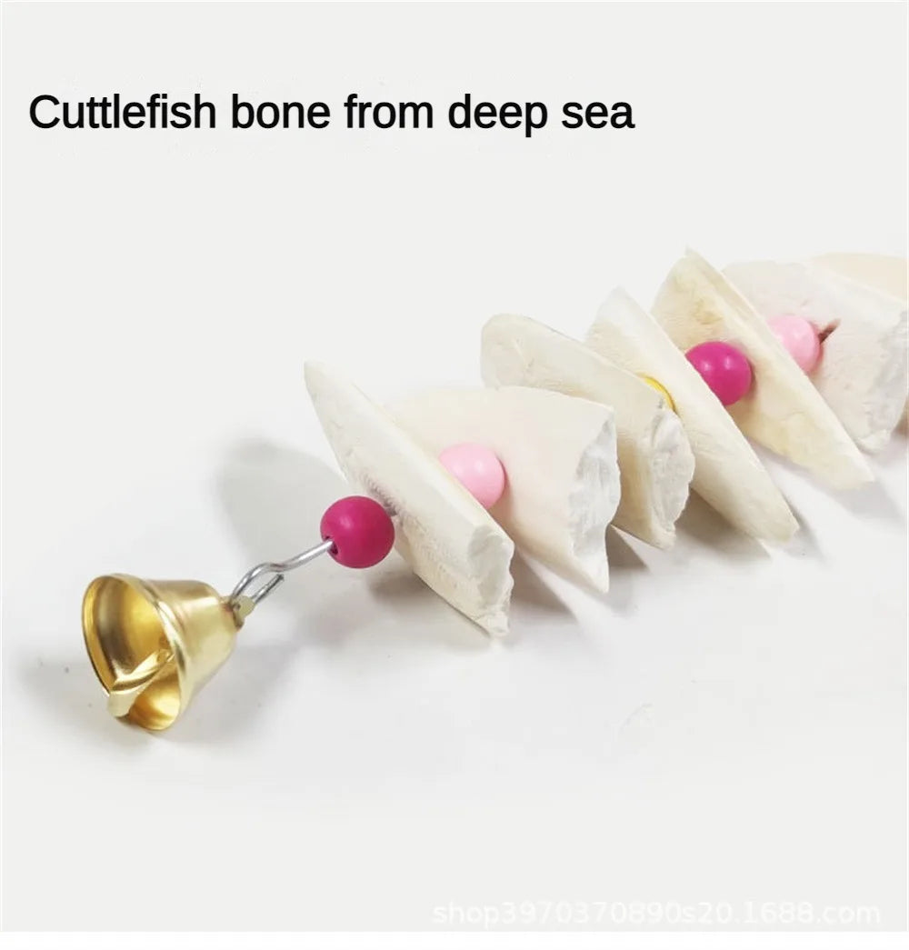 Cuttlefish Bone Skewers