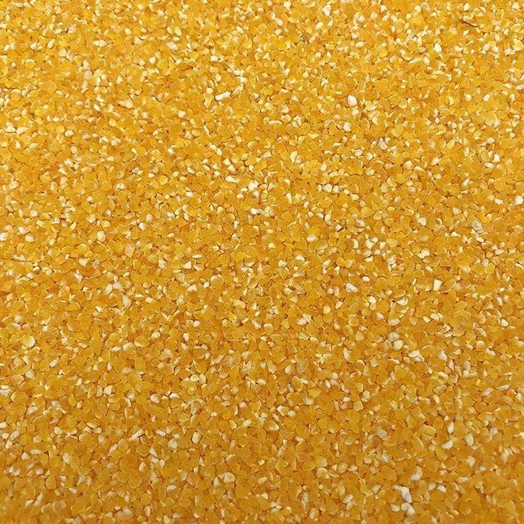 Premium Parrot Bird Seed