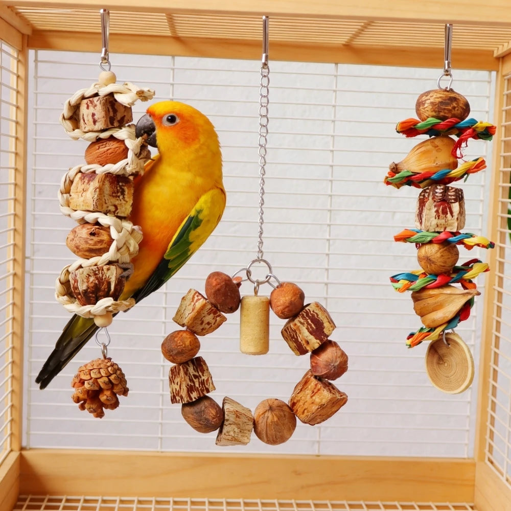 Natural Parrot Chew & Foraging Toy Set (3 Pack)