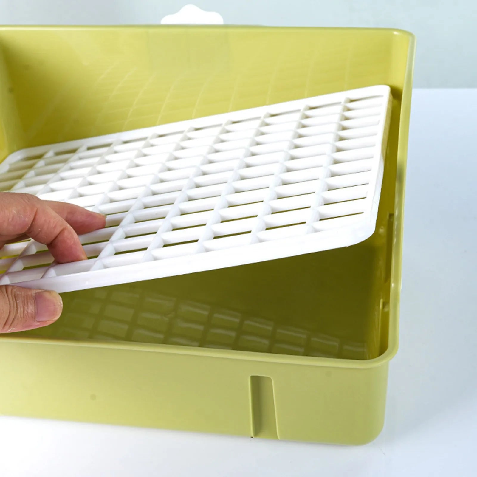 Parrot Shower Basin with Automatic Water Circulation