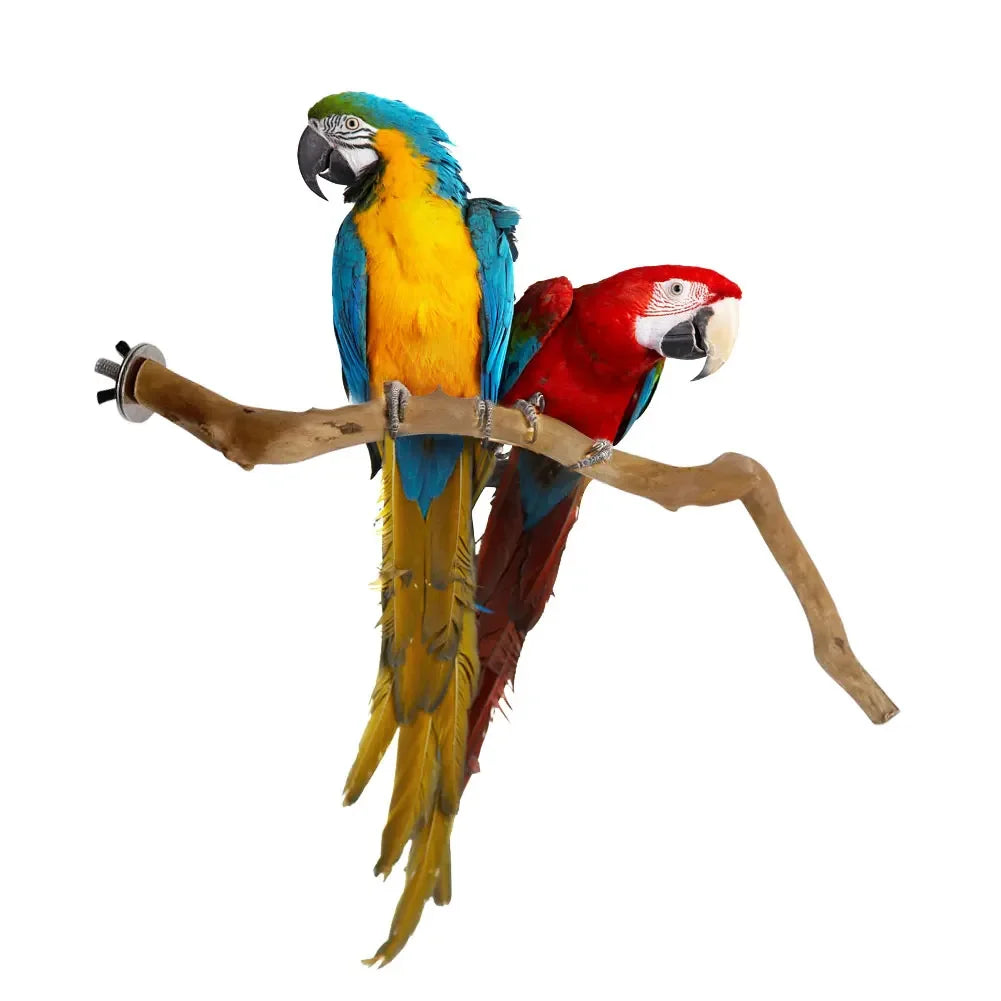 Natural Branch Standing Perch