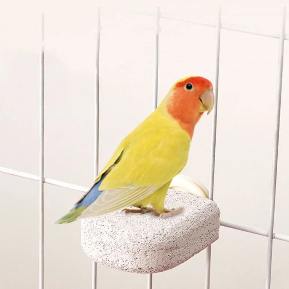 Non-Slip Parrot Standing Pole