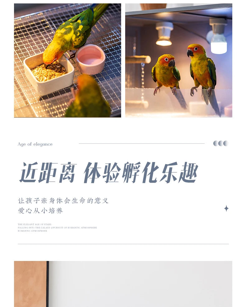 Thermostatic Parrot Breeding Cage