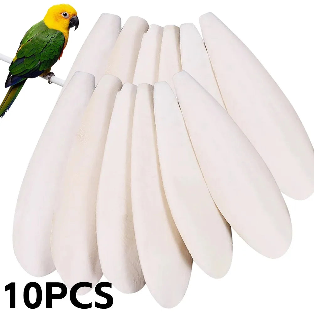 Cuttlefish Bone Calcium Supplement