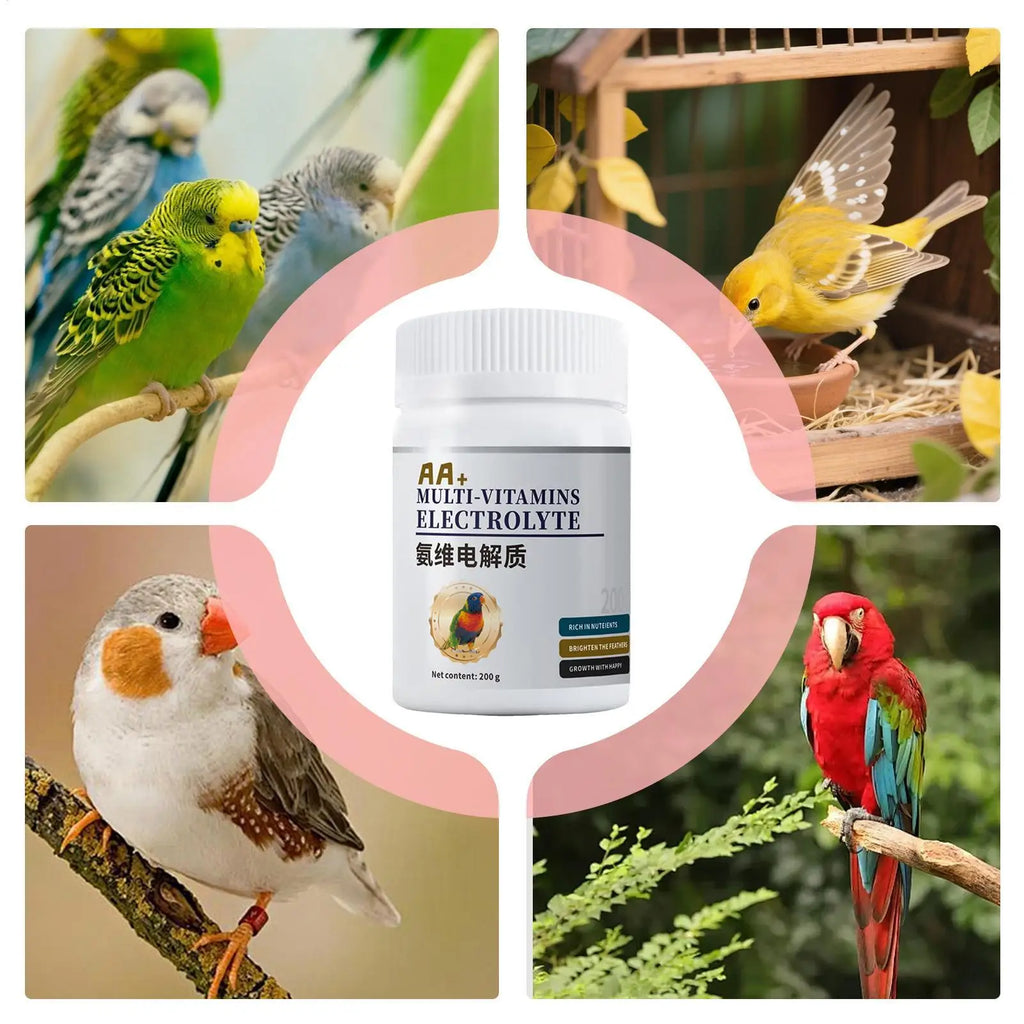 Bird Electrolyte & Probiotic Powder Supplement