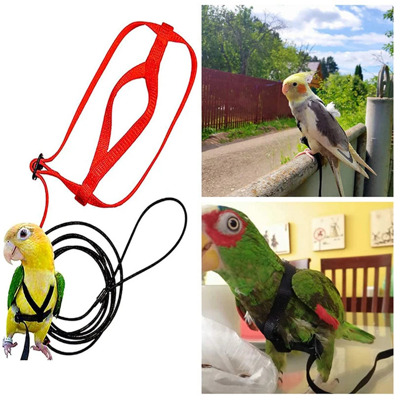 Parrot Harness & Bird Leash with Training Rope