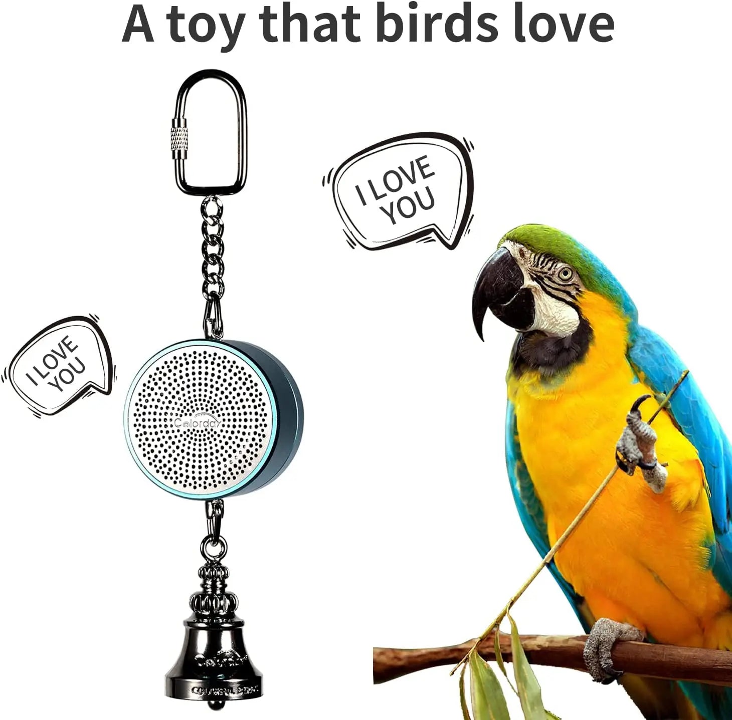 Interactive Talking Parrot Trainer