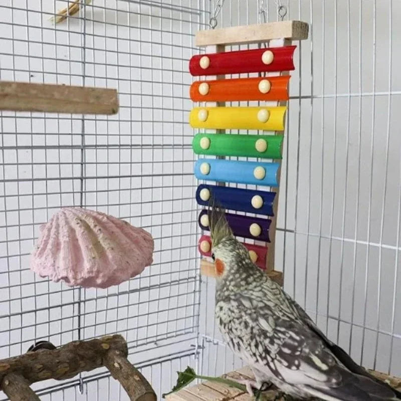 Colorful Bird Xylophone Toy for Parrots