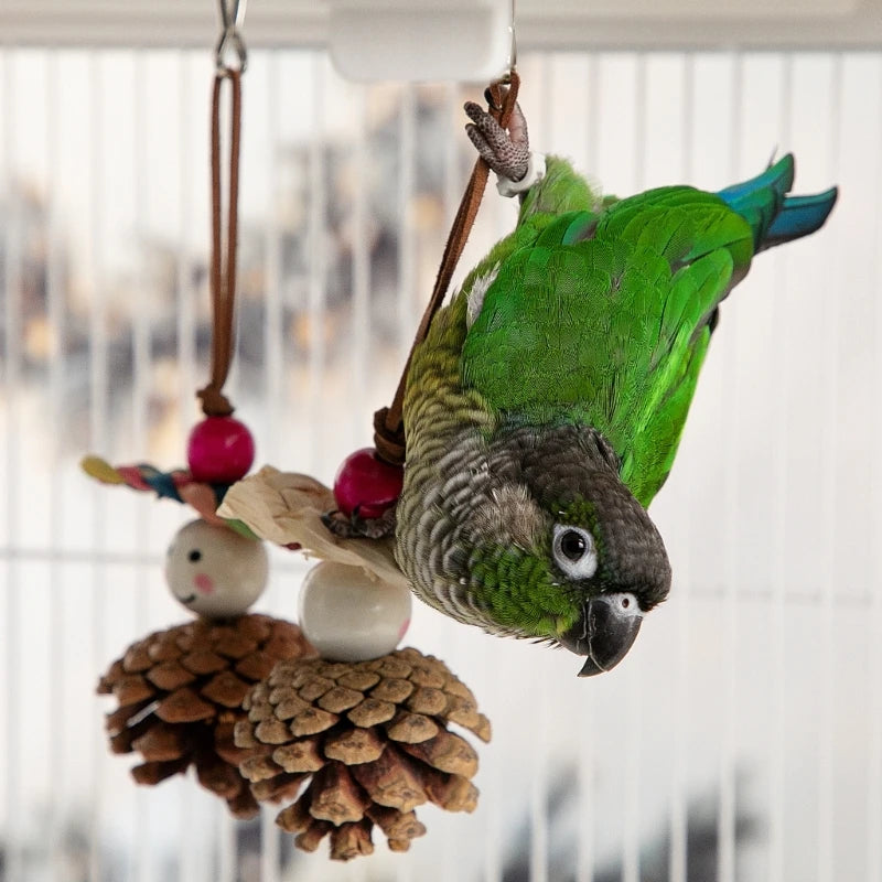 Natural Pinecone Bird Chew Toy