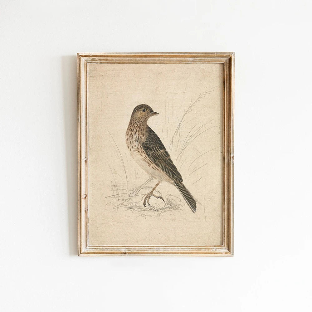 Vintage Bird Art Print - Canvas Poster