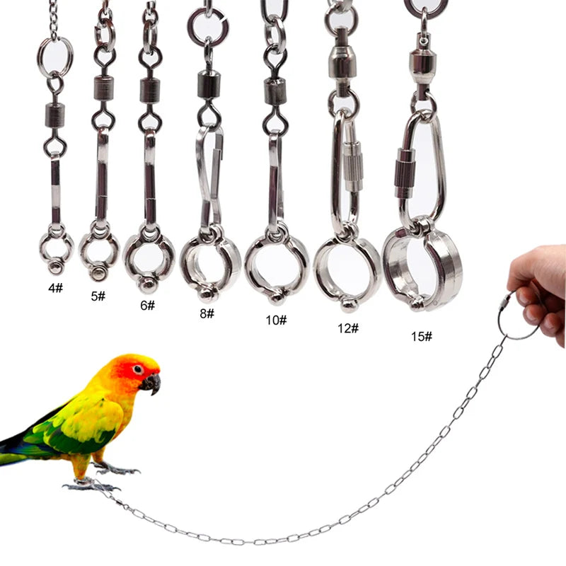 Parrot Ankle Training Chain