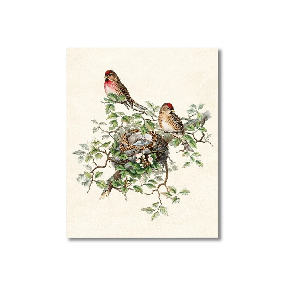 Vintage Bird Art Print - Canvas Poster