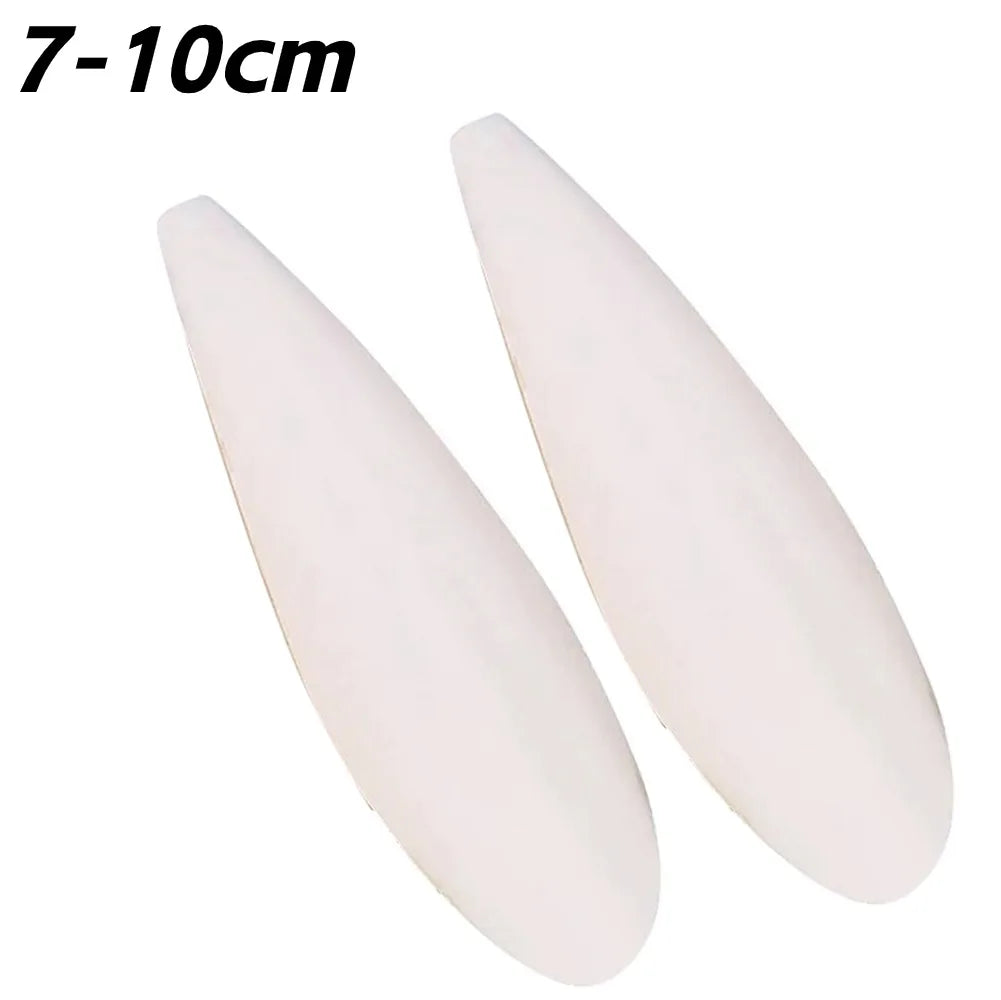 Cuttlefish Bone Calcium Supplement