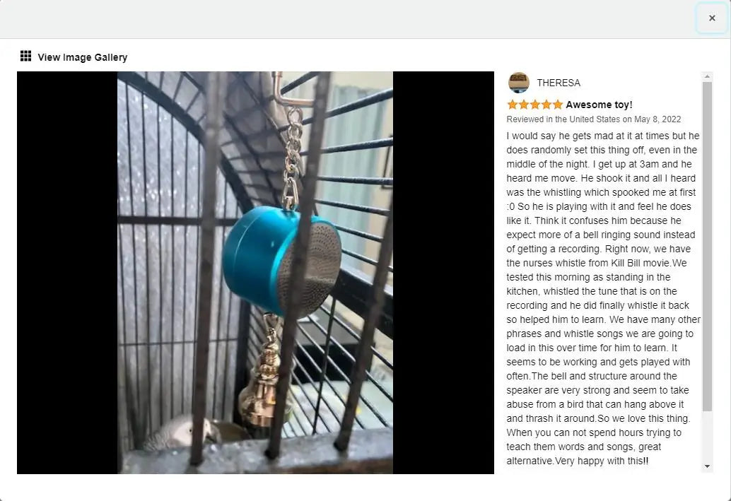Interactive Talking Parrot Trainer