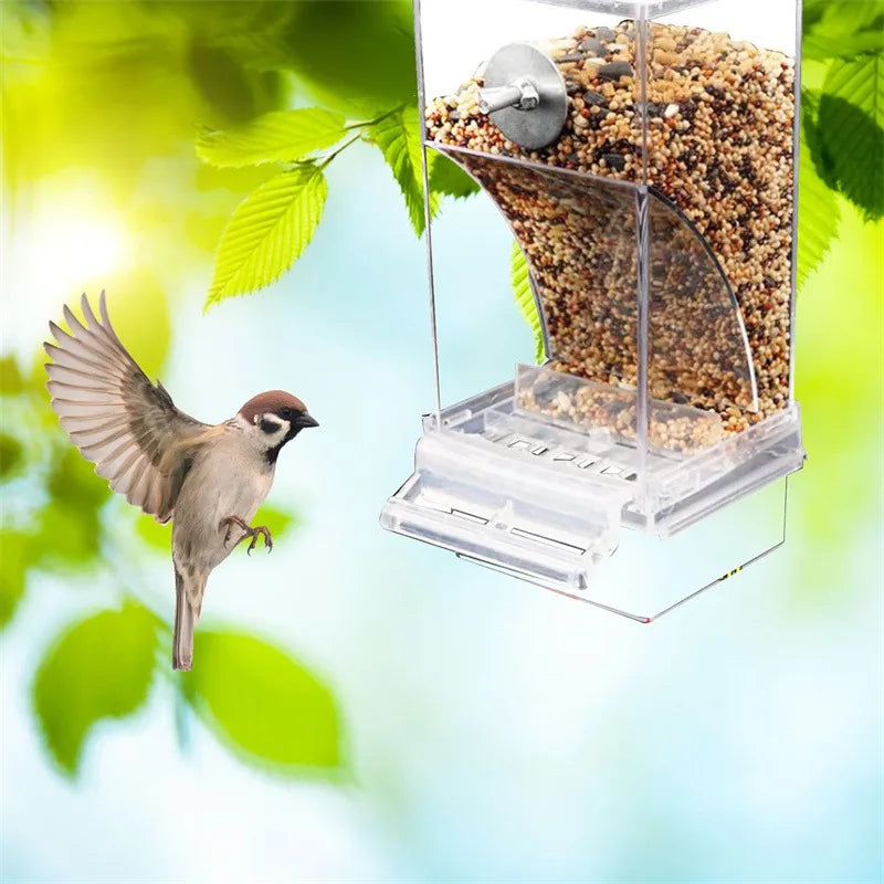 No-Mess Automatic Bird Feeder