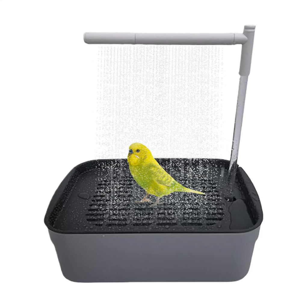 Rechargeable Parrot Shower Bath with Circulating Faucet