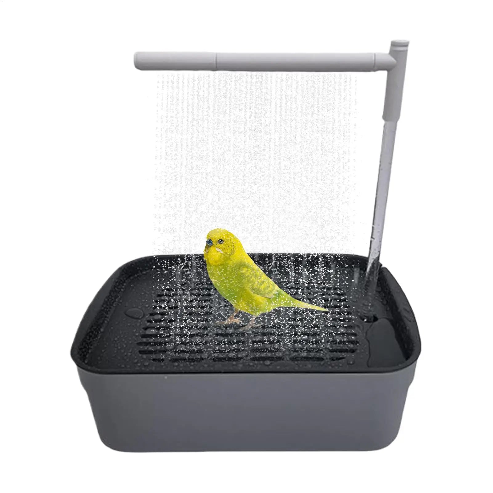 Rechargeable Parrot Shower Bath with Circulating Faucet