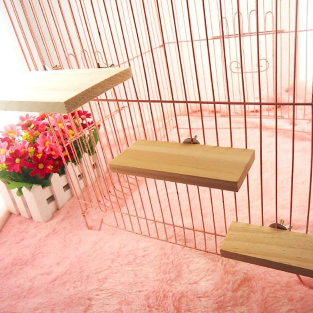 Bird platform