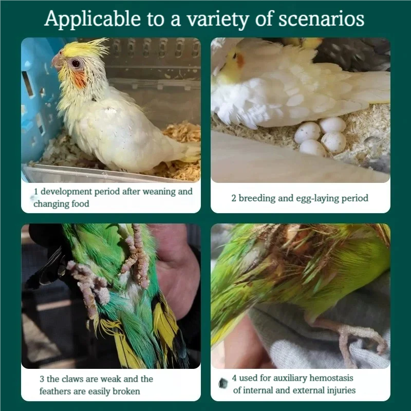 Cuttlefish Bone Powder Calcium Supplement