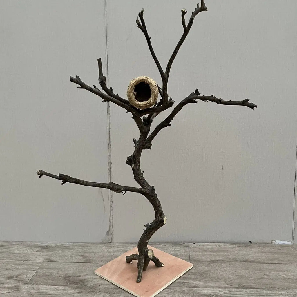 Wooden Parrot Branch Stand - Floor Mounted