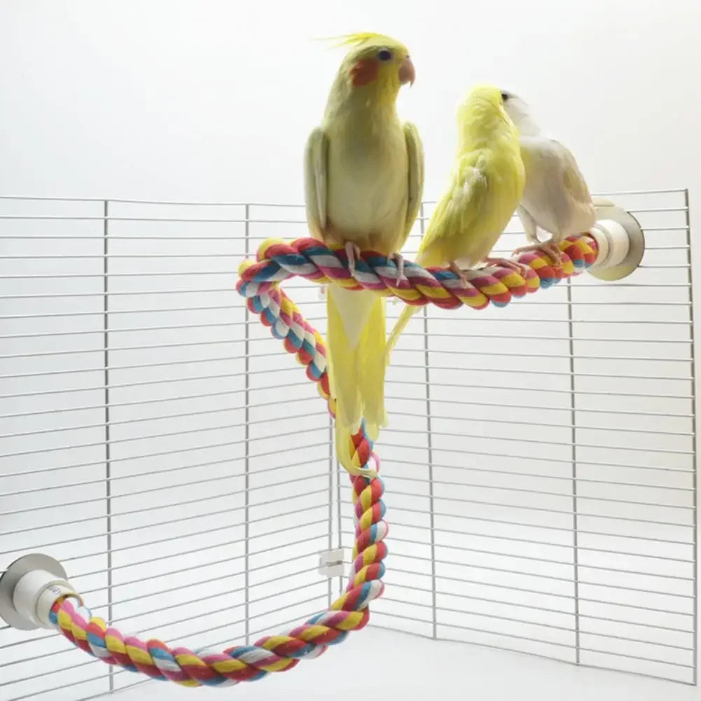 Colorful Rope Ladder Swing