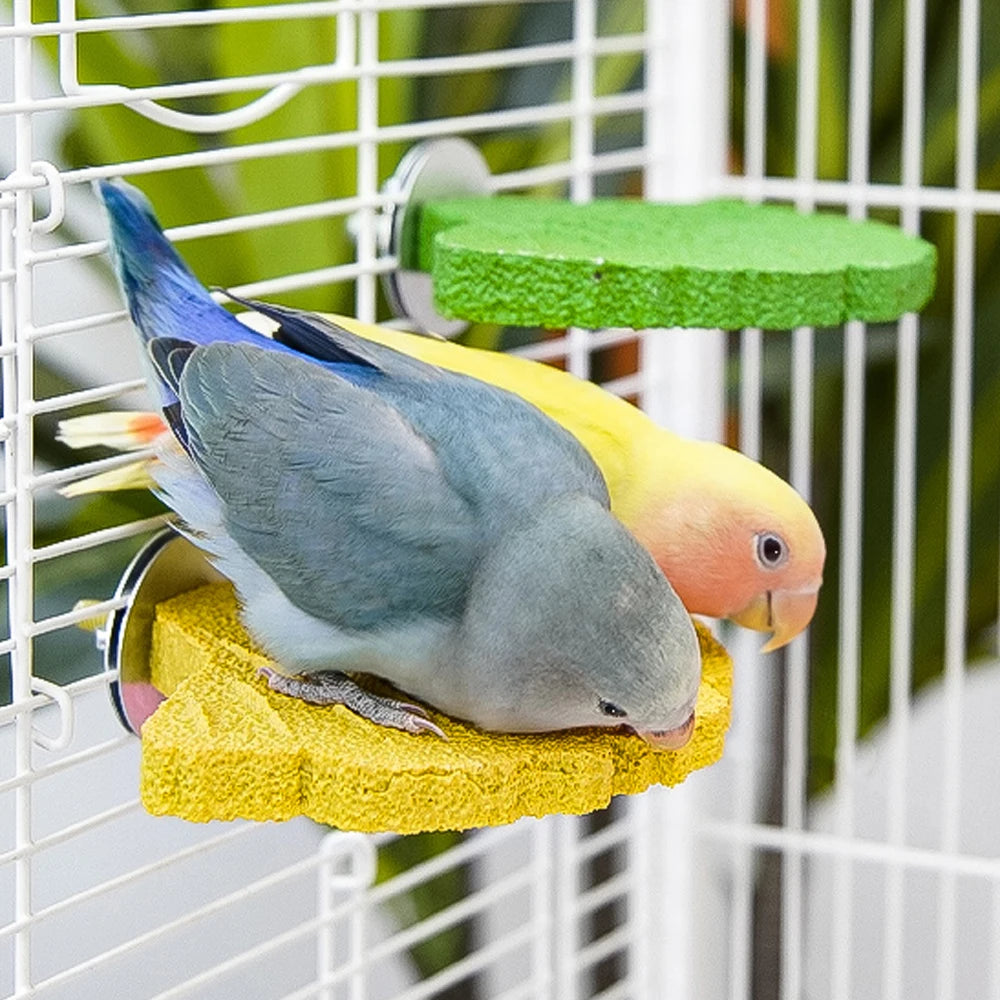Ginkgo Leaf Parrot Perch