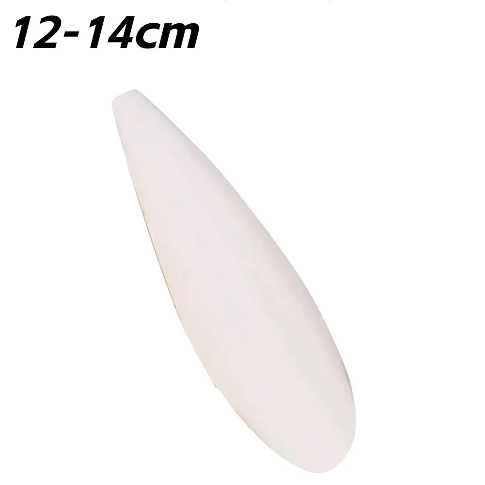 Cuttlefish Bone Calcium Supplement