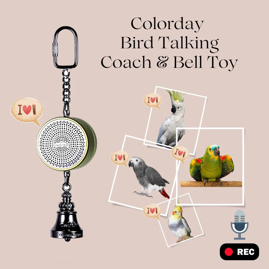 Interactive Talking Parrot Trainer