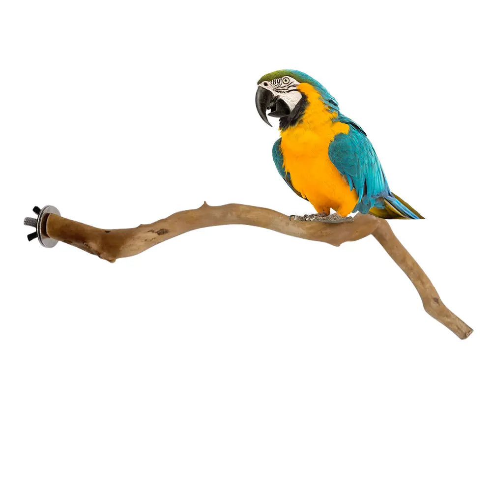 Natural Tree Branch Perch