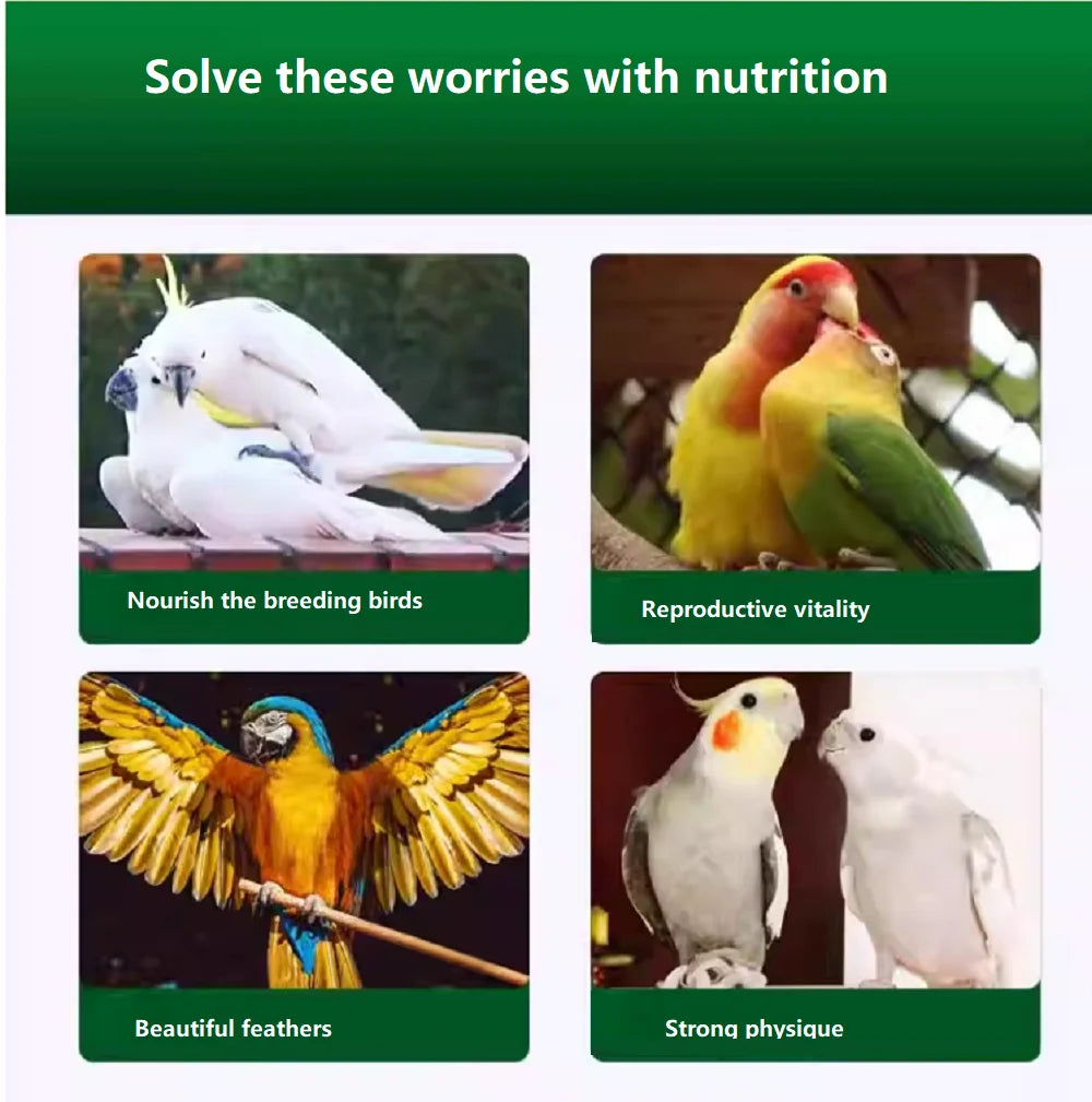 Parrot Breeding Oil - Multi-Effect Fertility Support