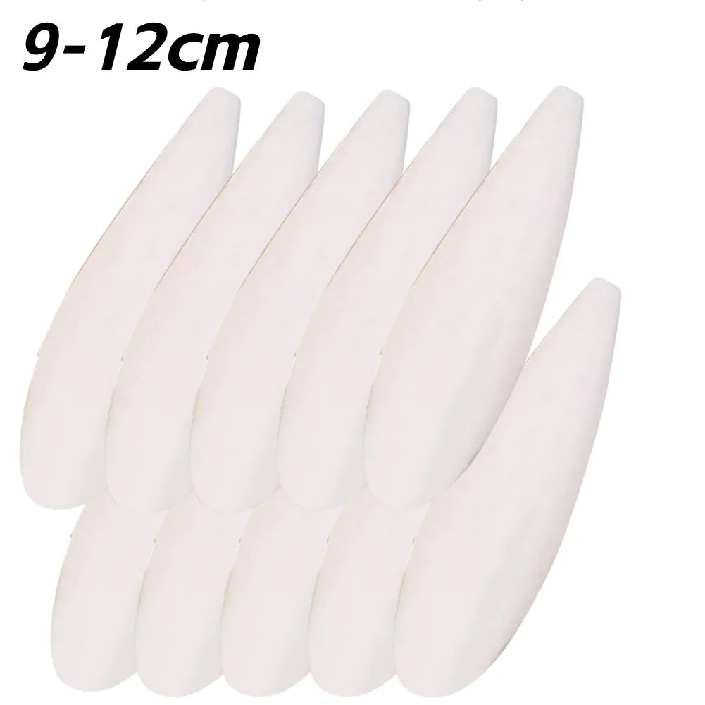 Cuttlefish Bone Calcium Supplement