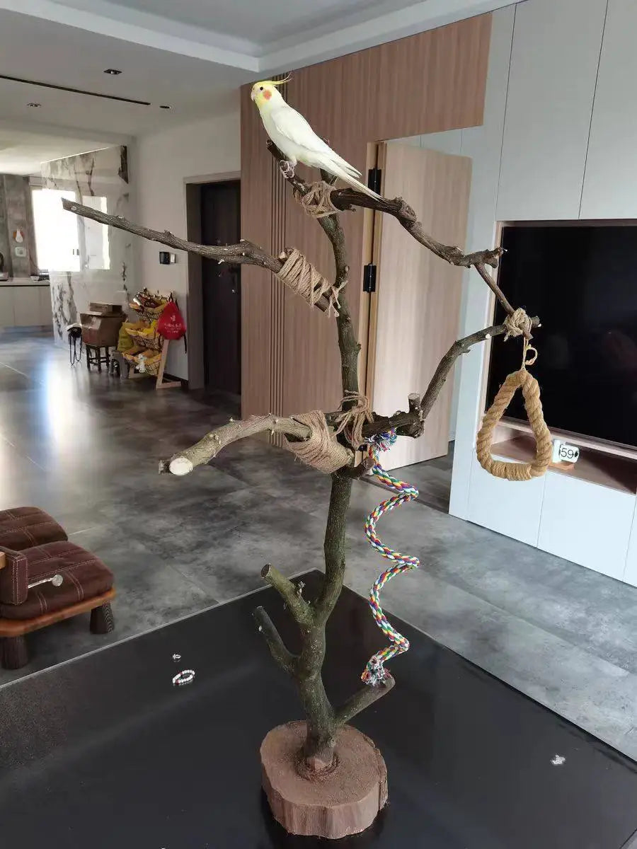 Bird Stand Tree Branch - Solid Wood Perch
