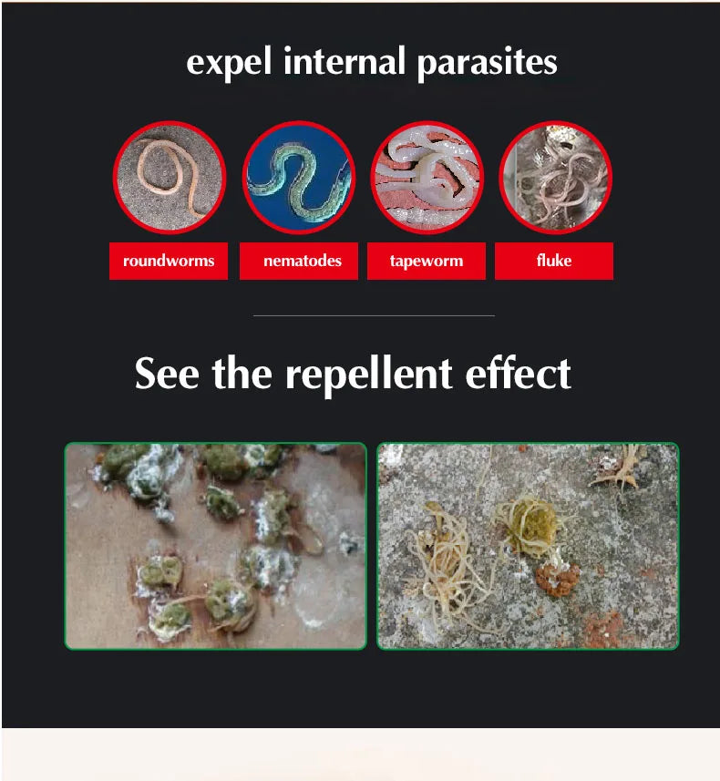 Parrot Deworming Treatment