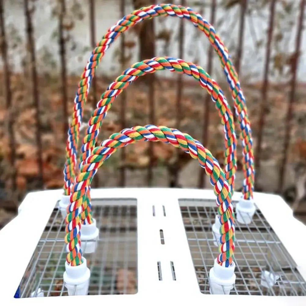 Colorful Rope Ladder Swing