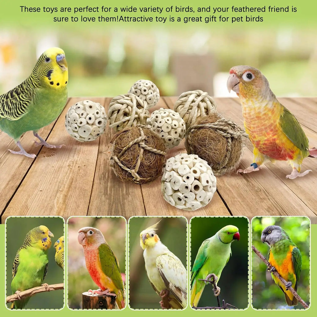 Sola Wood Foraging Ball Set for Parrots