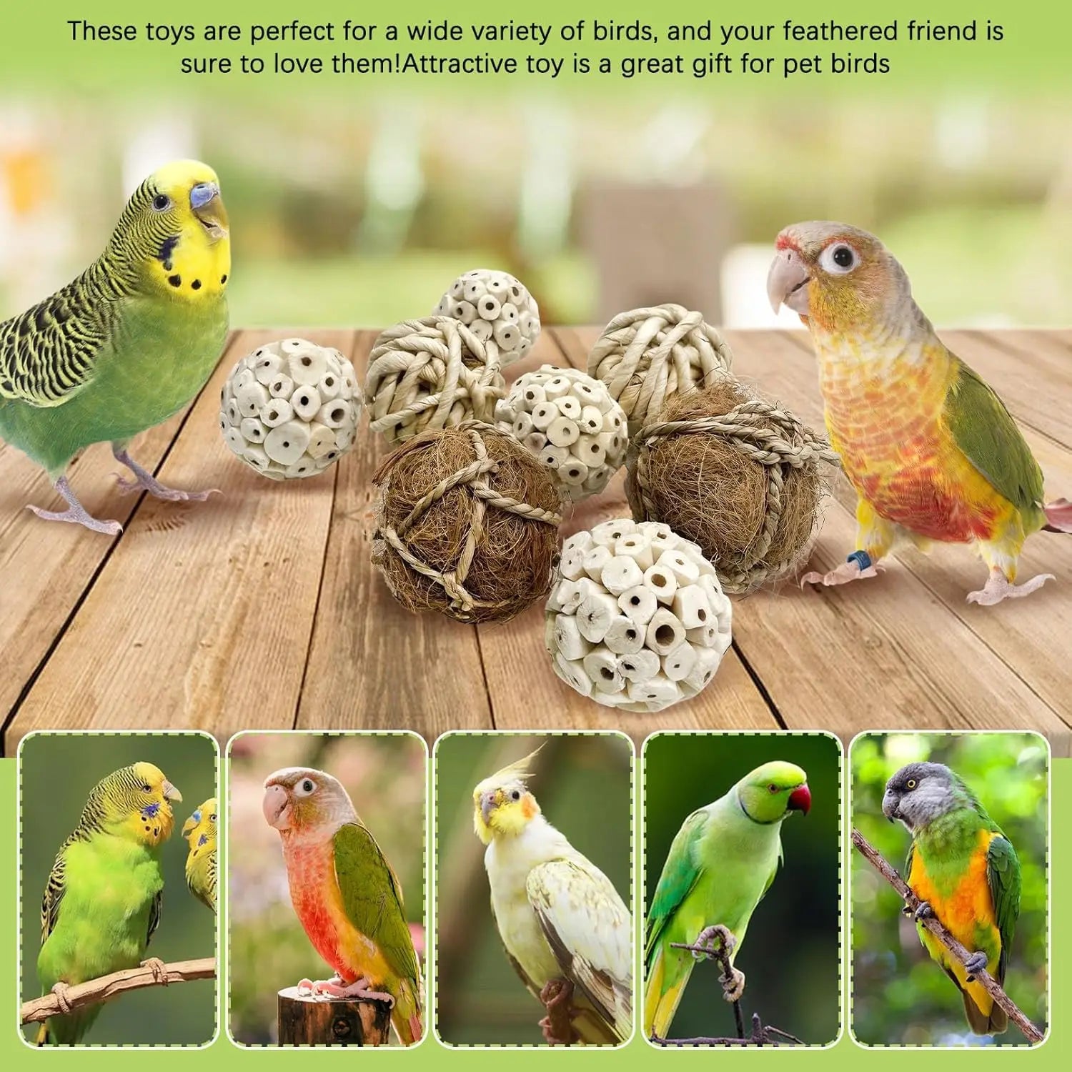 Sola Wood Foraging Ball Set for Parrots