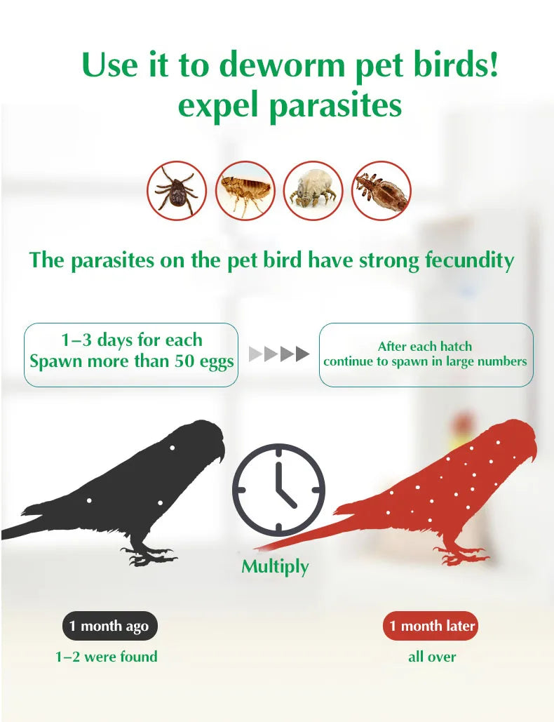 Parrot Deworming Treatment