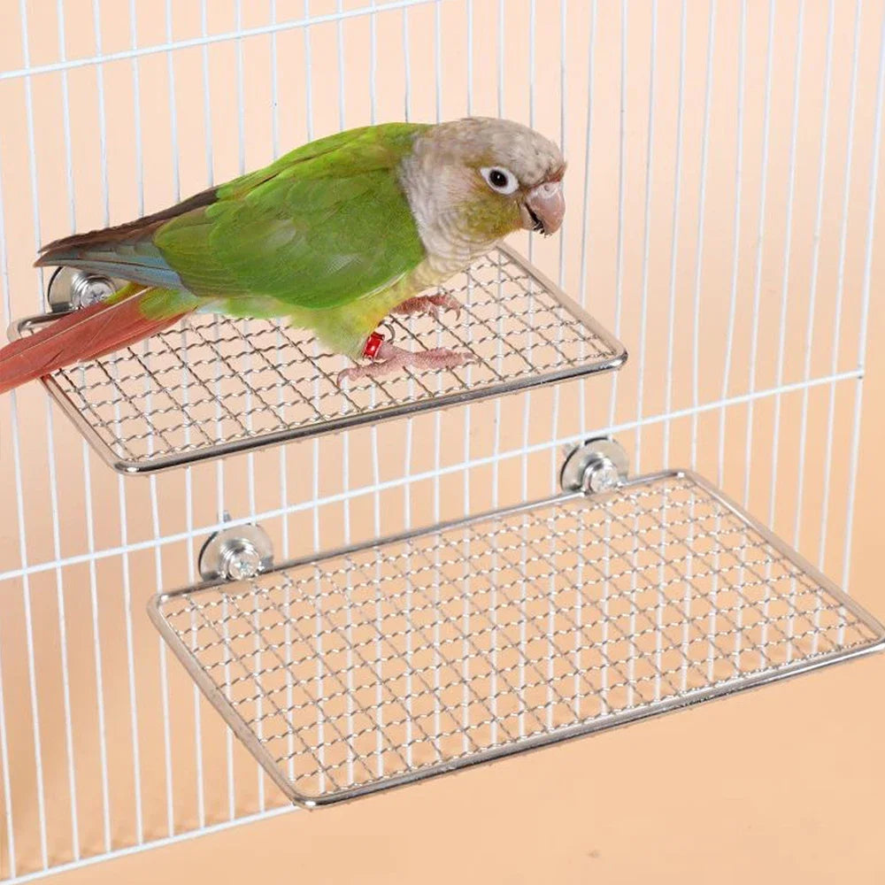 Stainless Steel Parrot Perch