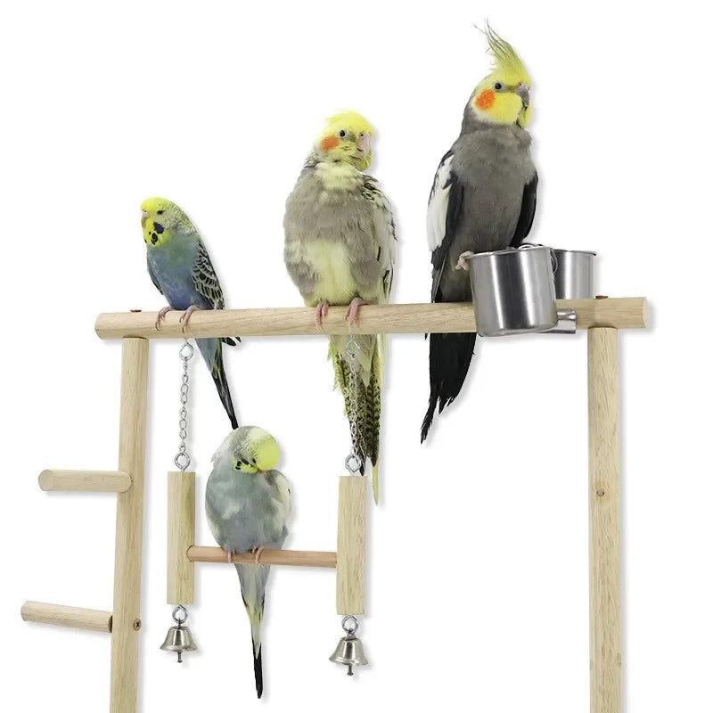 Wooden Parrot Playstand Gym