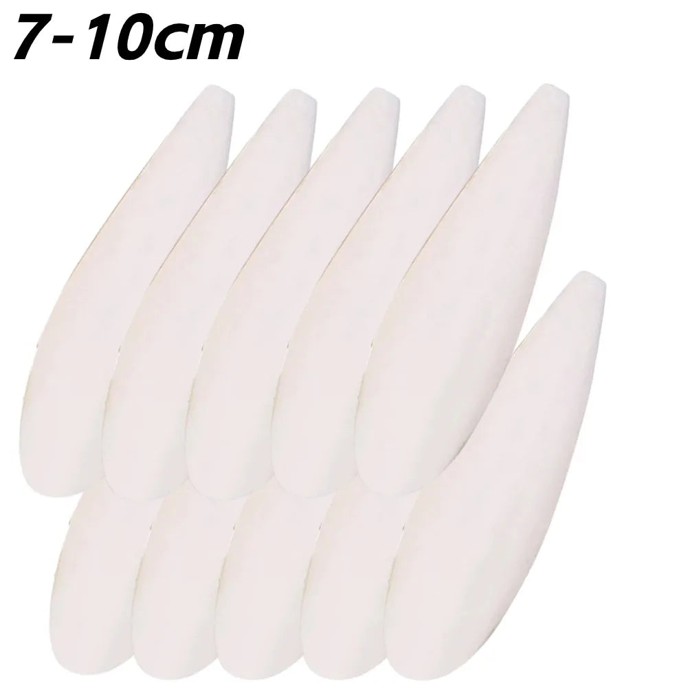 Cuttlefish Bone Calcium Supplement