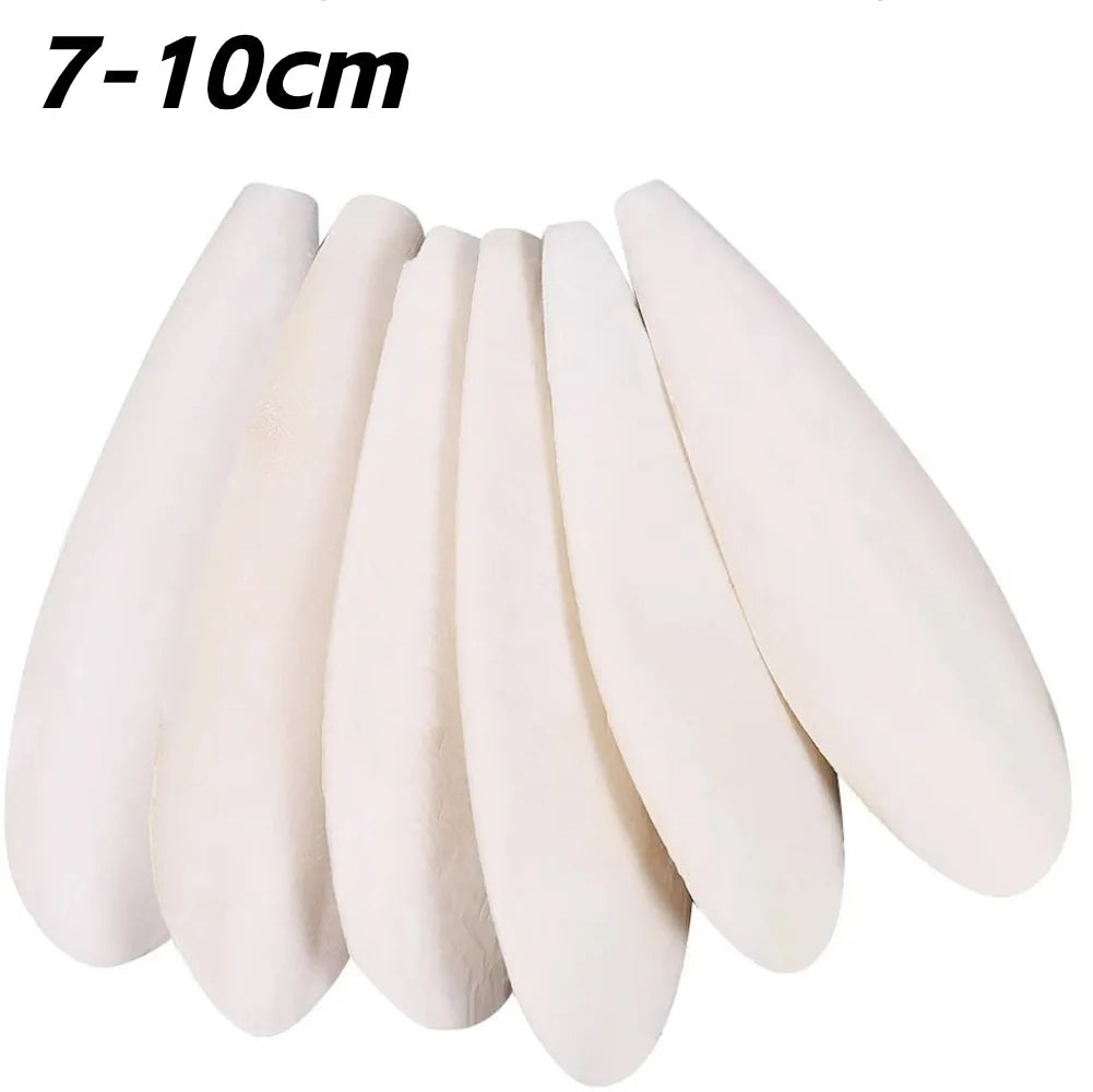 Cuttlefish Bone Calcium Supplement