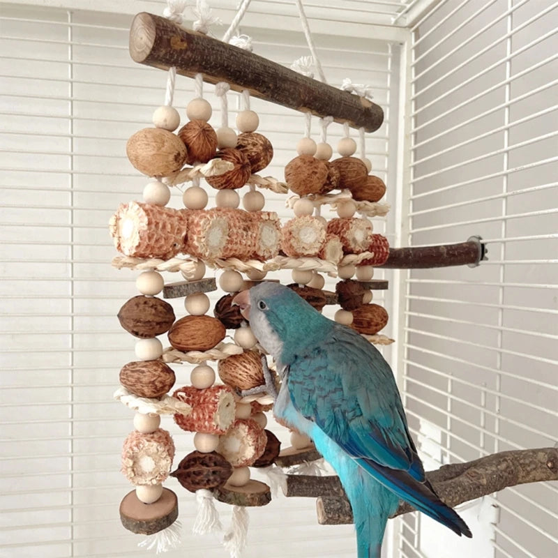 Parrot Puzzle Chew Toy