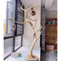 Wooden Parrot Branch Stand - Floor Mounted