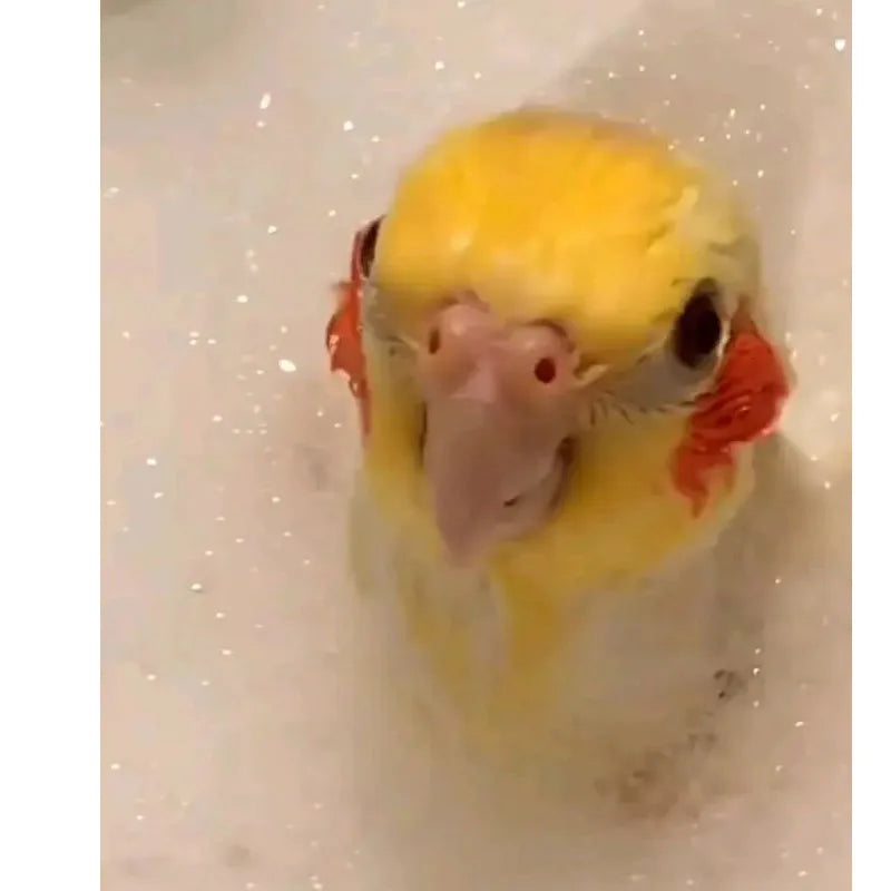 Parrot Bath Shampoo