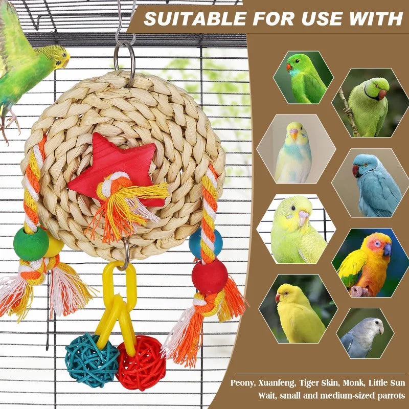 Double Ball Vine Chew Toy
