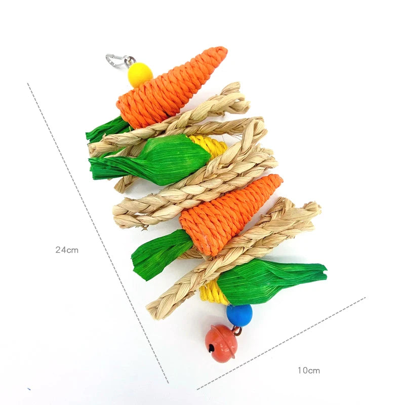 Pet Parrot Chewing Toys