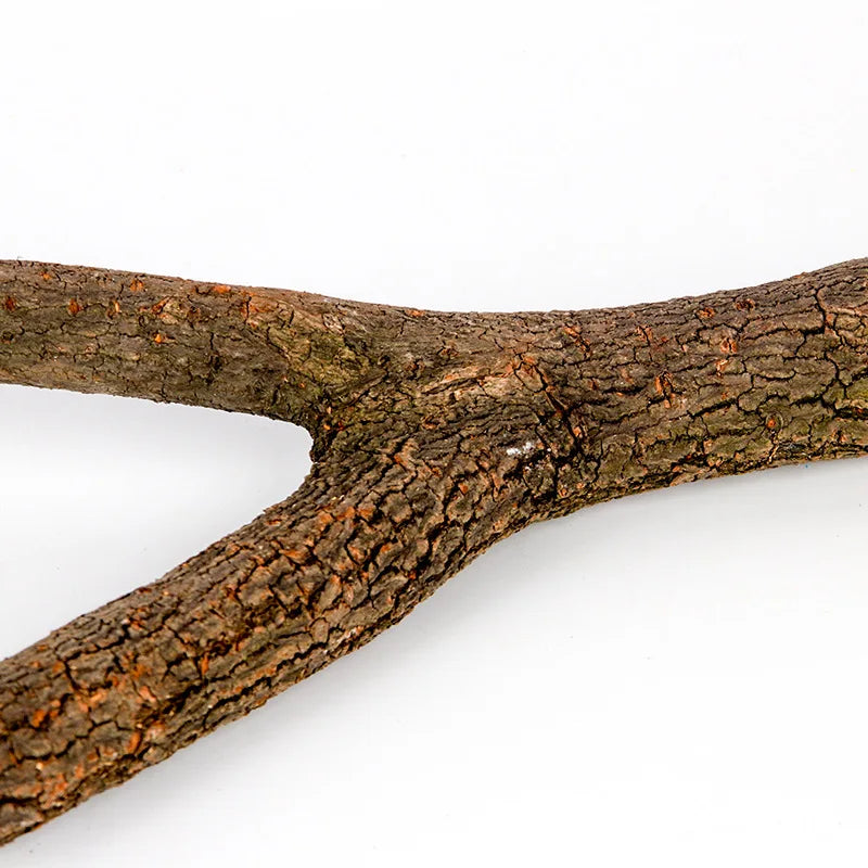 Natural Wood Bird Perch - Tree Branch Stand for Cages