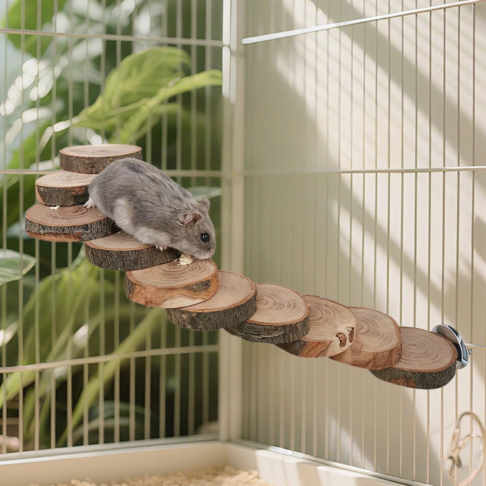 Wooden Climbing Staircase
