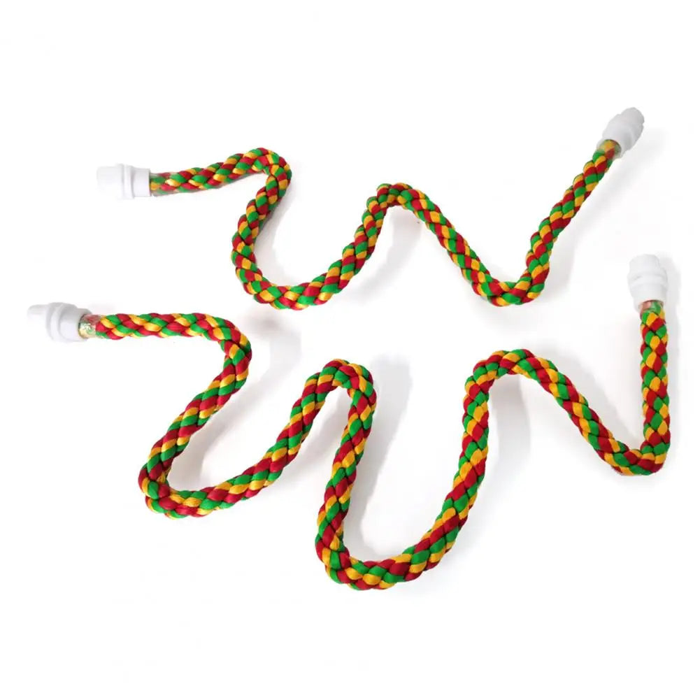 Colorful Rope Ladder Swing